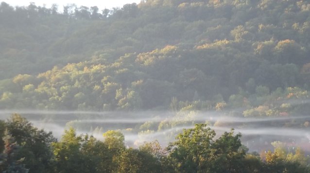 Bild: Herbst in Sondershausen