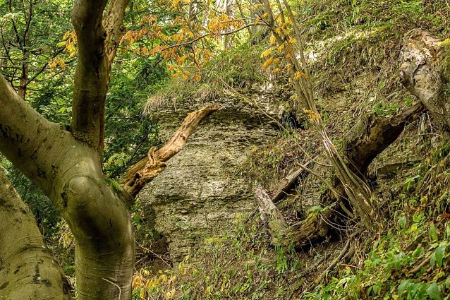 Bild: Felswand an der Hasenburg