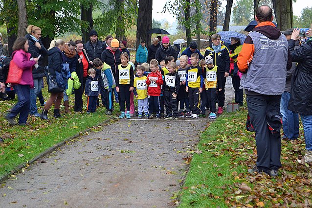 Bild: Impressionen vom 22. Stadtparklauf Sondershausen