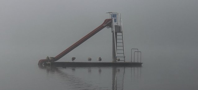 Bild: Brrr! Sehr k&uuml;hl beim Abbaden