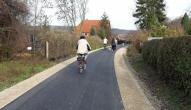Bild: Massenwanderung auf dem Radweg