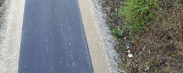 Bild: Massenwanderung auf dem Radweg