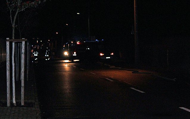 Bild: Laubenbrand an der Panzerstrasse