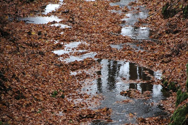 Bild: Wetterbild