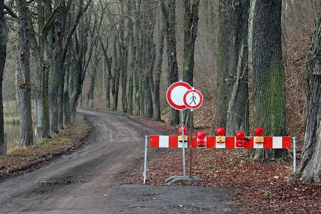 Bild: Kahlschlag um und hinterm Hammateich?