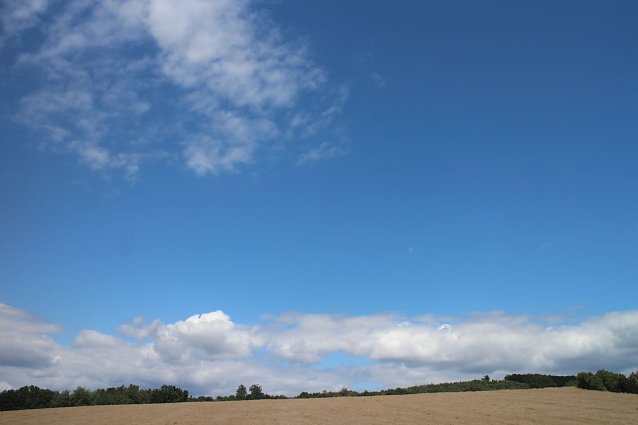 Bild: Das zweitw&auml;rmste Jahr seit Beginn der Wetteraufzeichnungen