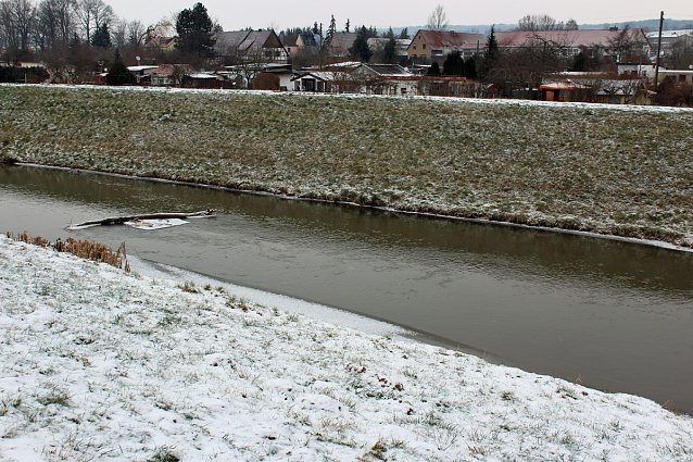 Bild: Keine  Gefahr f&uuml;r Jungschwan