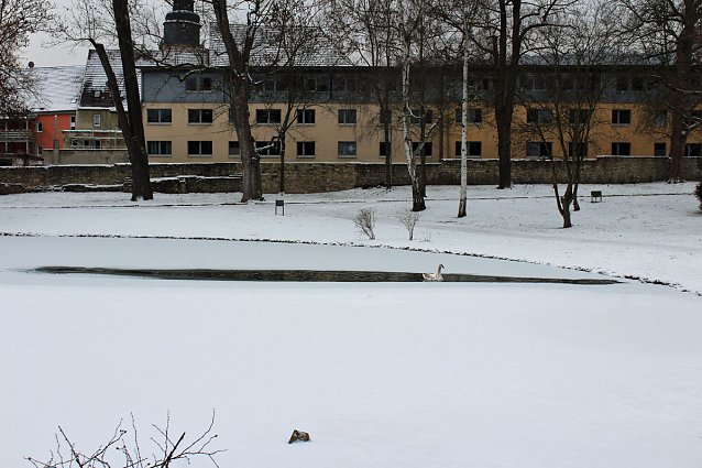 Bild: Gef&auml;hrlicher Leichtsinn auf Parkteich