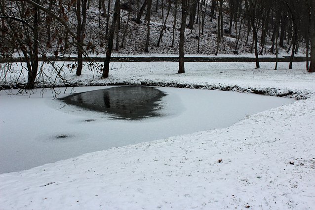 Bild: Gef&auml;hrlicher Leichtsinn auf Parkteich