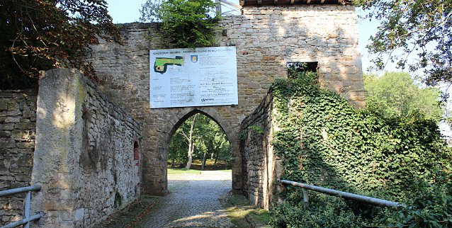 Bild: Spenderosterhase in Ebeleben