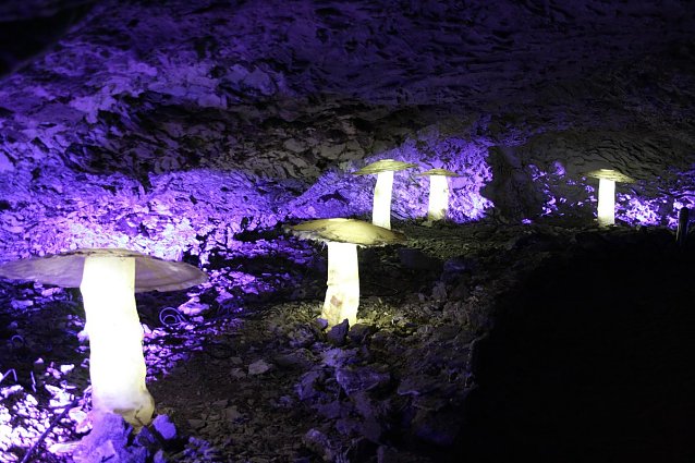 Bild: World of Lights - Lichterwelten...