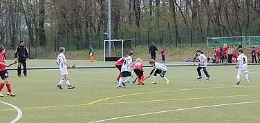 Bild: Hockey Cup 2016 startet