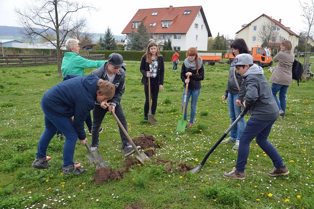 Bild: Der 6. Baum