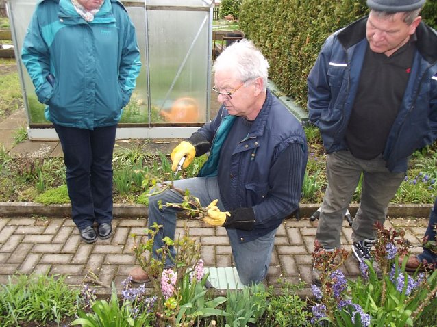 Bild: Interessante Rosenseminare mit Bernd Schlichting