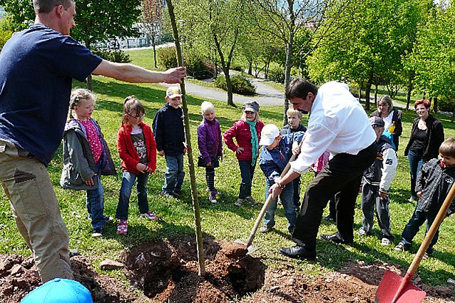 Bild: Baum- und Wohngebietsfest in Sondershausen