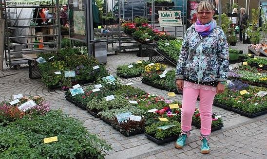 Bild: Sondersh&auml;user Blumen-, Pflanzen- und Staudenmarkt