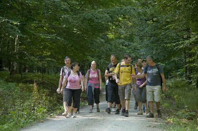 Bild: Alter Wald mit Zukunft e.V.