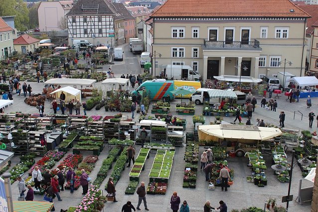 Bild: Pflanzenmarkt gut besucht