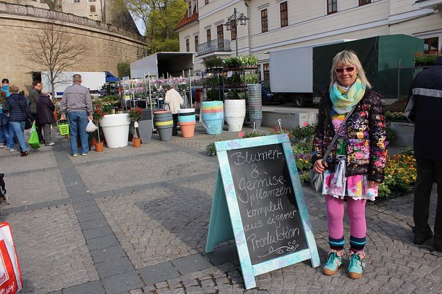 Bild: Pflanzenmarkt gut besucht