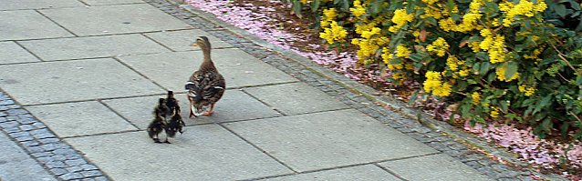 Bild: Abflug gemacht