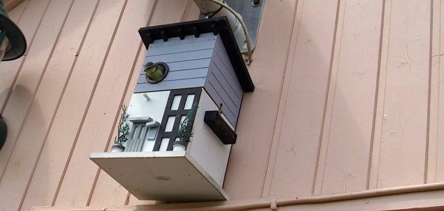 Bild: Auch das Luxus Apartment ist nun mit Meisen belegt
