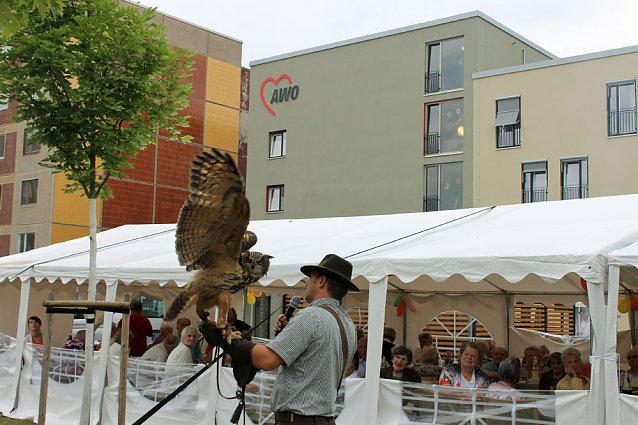 Bild: Sommerfest am Wippertor