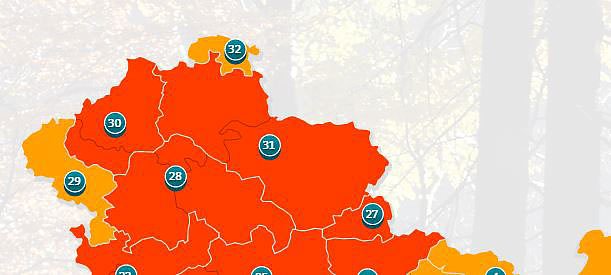 Bild: Waldbrandgefahrenstufe 4