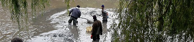 Bild: M&uuml;llabladeplatz Schlosspark?