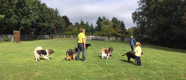 Bild: Herbstwanderung des Sondersh&auml;user Hundevereins