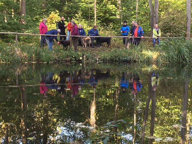 Bild: Herbstwanderung des Sondersh&auml;user Hundevereins