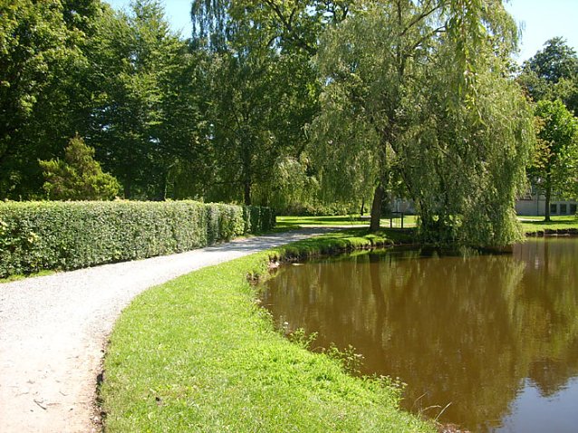 Bild: Kleiner Parkteich