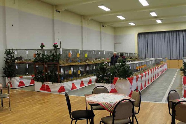 Bild: Rassenkaninchenschau in Gro&szlig;furra