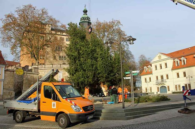 Bild: Weihnachtsbaum steht