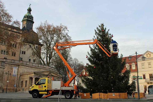 Bild: Weihnachtsbaum steht