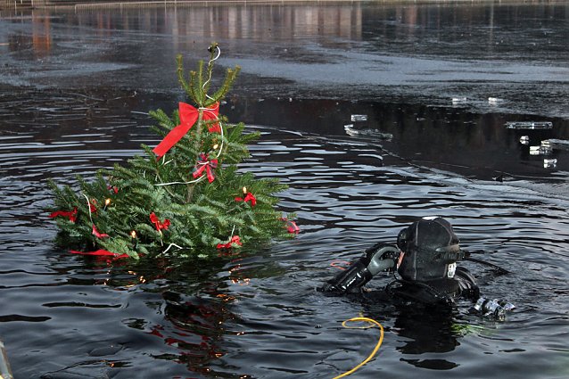 Bild: Massenansturm zum Weihnachtstauchen