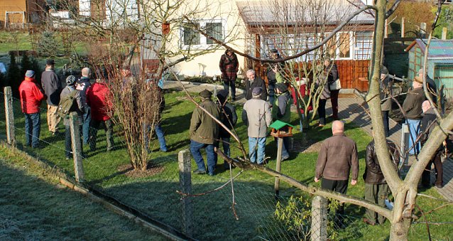 Bild: Obstbaumschnitt in Bad F., SDH und ART