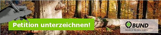 Bild: Halbzeit bei Waldpetition