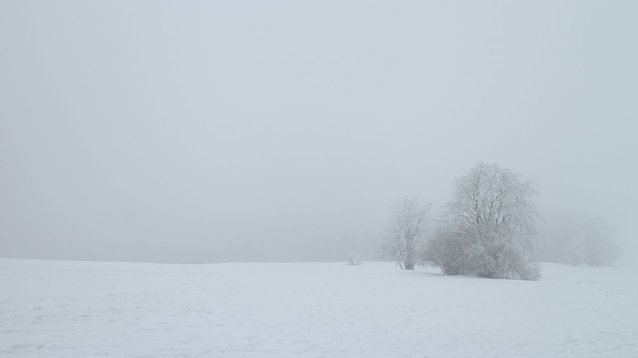 Bild: Wetterbild