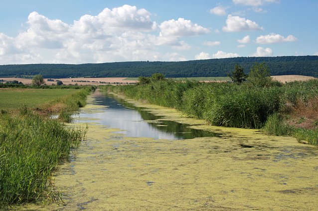 Bild: Vogelschutzgebiet Esperstedter Ried