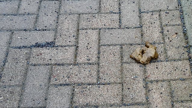 Bild: Neues und altes aus Sondershausen