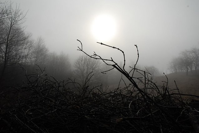 Bild: Mystische Geschichten zwischen Bach und Baum werden am Samstag in Stolberg zu h&ouml;ren sein