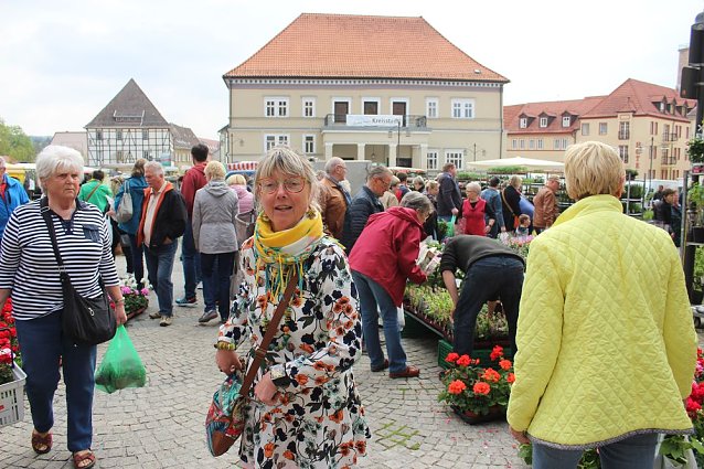 Bild: Gr&uuml;ne und bunte Oase Sondershausen