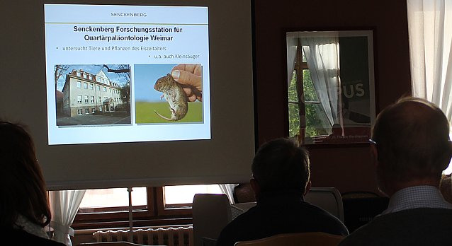 Bild: Murmeltiere in Sondershausen?