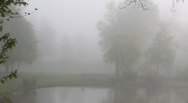 Bild: Erster Herbstnebel im Kyffh&auml;userkreis