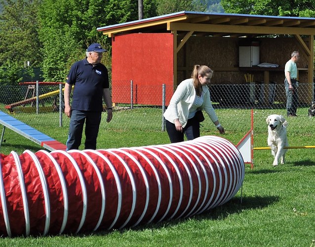 Bild: ABC Hundeschule
