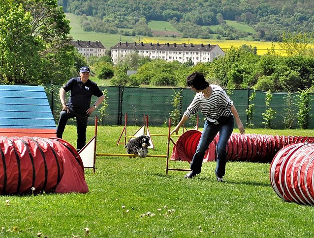 Bild: ABC Hundeschule