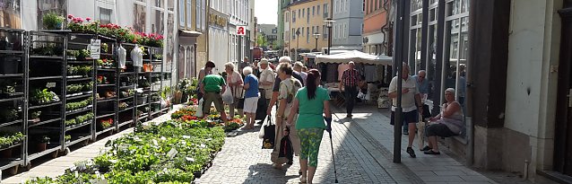 Bild: Verwegener Vorschlag?