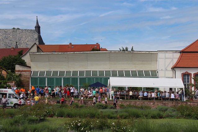 Bild: Orangeriefest in Bendeleben
