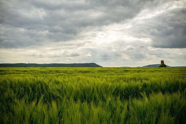 Bild: Wetterbild