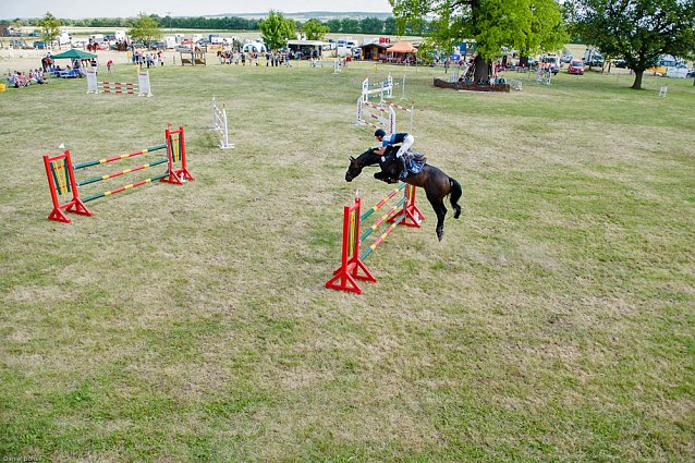 Bild: Reitturnier des Sportverein " Diamantene Aue" Ringleben - 2017